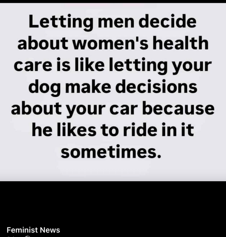 Letting men decide about women's health care is like letting your dog make decisions about your car because he likes to ride in it sometimes.
Feminist News